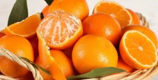 45 هزار تن نارنگی پیش رس در مازندران برداشت شد