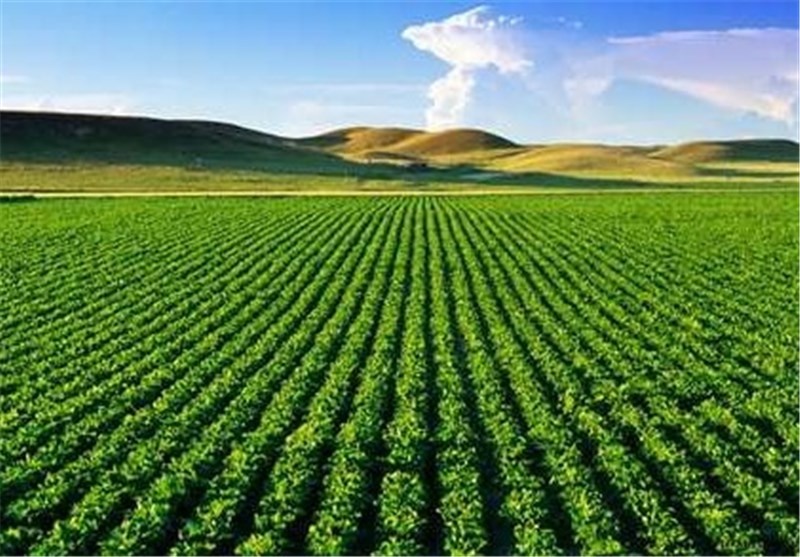 راه اندازی سامانه سنجش از راه دور رصد مزارع