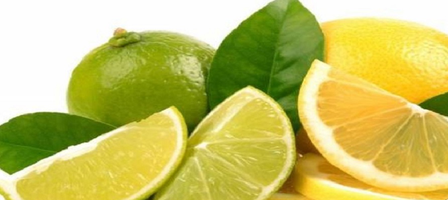 پیش بینی تولید بیش از 285 هزارتن لیمو شیرین در قیروکارزین