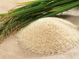 دنبال مشتری برای صادرات برنج‌ اروگوئه‌ای هستیم/ محدودیتی برای واردات برنج از کشورهای مختلف نداریم