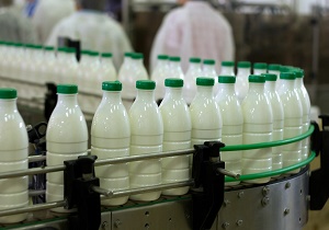 احتمال افزایش قیمت شیرخام/ستاد تنظیم بازار درباره قیمت ٣فرآورده لبنی تصمیم می‌گیرد