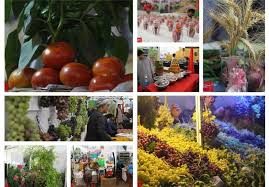 مناسبات کشاورزی و صنایع غذایی ایران و قرقیزستان توسعه می یابد
