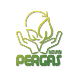 لوگوی پرگاس نوین آذر کیمیا