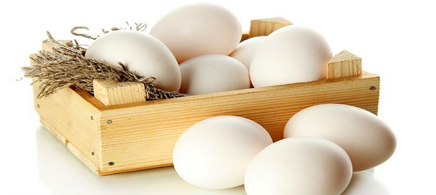 تولید ماهانه تخم مرغ در کشور به ۱۱۰ هزارتن رسید