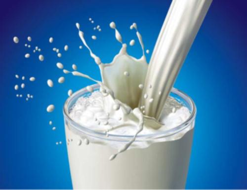 خرید توافقی شیرخام، ناجی دامداران شد/۳۰ درصد مطالبات دامداران باقی ماند