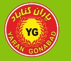 لوگوی مجتمع غذایی یاران گناباد (یاران ماکارون شقایق )