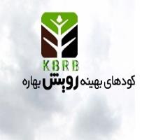 لوگوی شرکت رویش کود بهاره