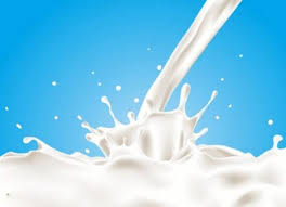 دامداران در انتظار افزایش ۲۲.۵ درصدی نرخ شیرخام هستند