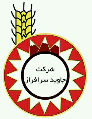 لوگوی شرکت جاوید سرافراز - دادلا