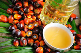 واردات روغن پالم ۵۹ درصد افزایش یافت