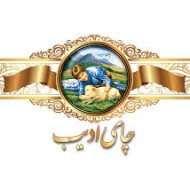 لوگوی شرکت بسته بندی گل تاش سپاهان