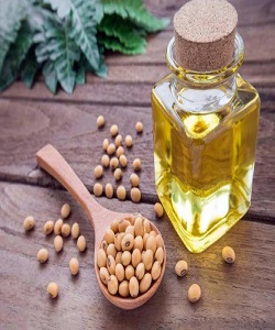 ۱۸۰۰ تن دانه‌ روغنی سویا خرید تضمینی شد