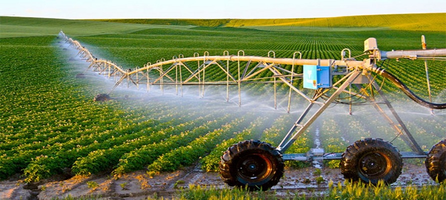 راهکار دانش‌ بنیان‌ها برای کاهش مصرف سموم در مزارع