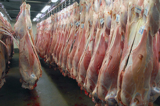 کشف ۲۰۰ تن گوشت قرمز قاچاق در کشور