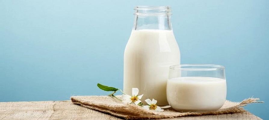 صادرات ۱.۵ میلیون تن شیرخام به بازار‌های هدف 