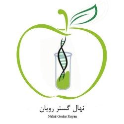 لوگوی شرکت نهال گستر رویان
