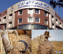 مصوبه عرضه محصولات ذرت، جو و برنج در بورس کالا ابلاغ شد