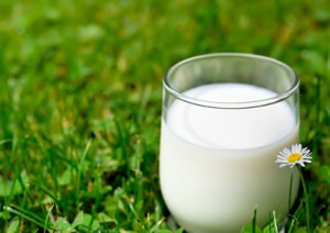 محاسبه نشدن قیمت محصولات لبنی پیش از تعیین نرخ شیر خام