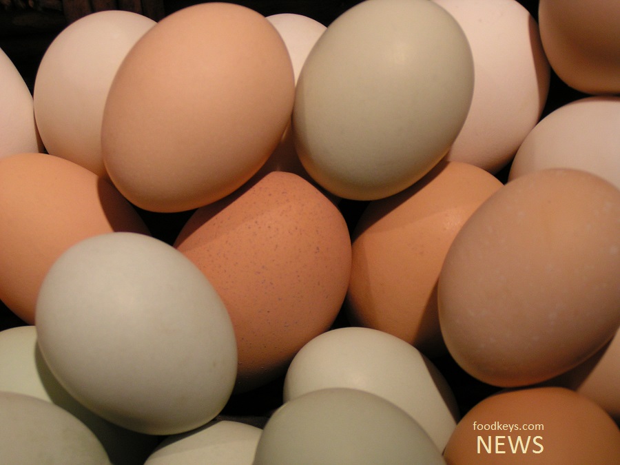 تنوع تولید تخم مرغ در کشور افزایش می یابد