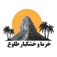 لوگوی شرکت طلوع علم تابان جنوب