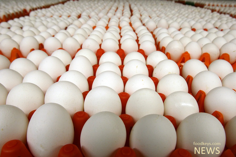 صادرات ۷۰ هزار تن تخم‌مرغ طی ۹ ماه