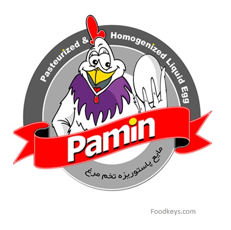 لوگوی شرکت پارس آیلین مهر