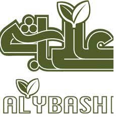 لوگوی شرکت هونام صنعت زرین