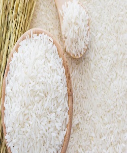 توزیع 3200 تن بذر گواهی شده برنج بین کشاورزان