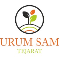 لوگوی شرکت اروم سام تجارت (لون استار)