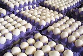 واردات ۶۶ هزار تن تخم‌ مرغ/ تخم‌ مرغ چینی نداریم