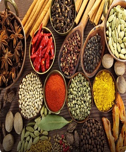 همایش ملی گیاهان دارویی  نخستین بار در جیرفت برگزار می‌شود