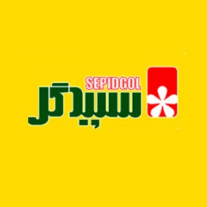 لوگوی شرکت خشک پاک سپید گل