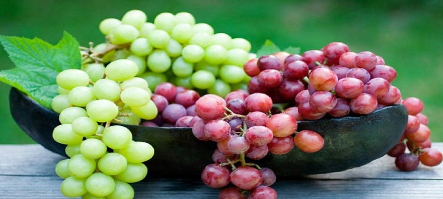 پیش‌ بینی برداشت پنج هزار و 800 تن انگور در خراسان جنوبی