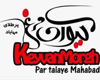 لوگوی شرکت کیوان مرغ پر طلایی مهاباد