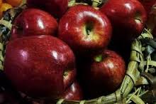 کاهش تعرفه وادرات محصولات کشاورزی به صادرات سیب آذربایجان غربی زیان می‌رساند
