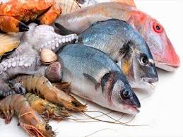 صادرات ۴۳ هزارتن ماهی یال‌اسبی و مرکب به کشورهای خاوردور