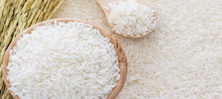 صادرات برنج تایلند رکورد زد