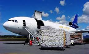 ظرفیت صادرات از فرودگاه زنجان فراهم است