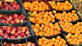 میادین میوه و تره بار تعطیل نمی‌شوند