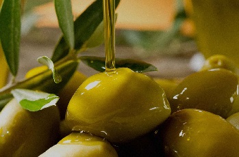 امسال تولید  میوه زیتون به ۱۰۰ هزارتن رسید