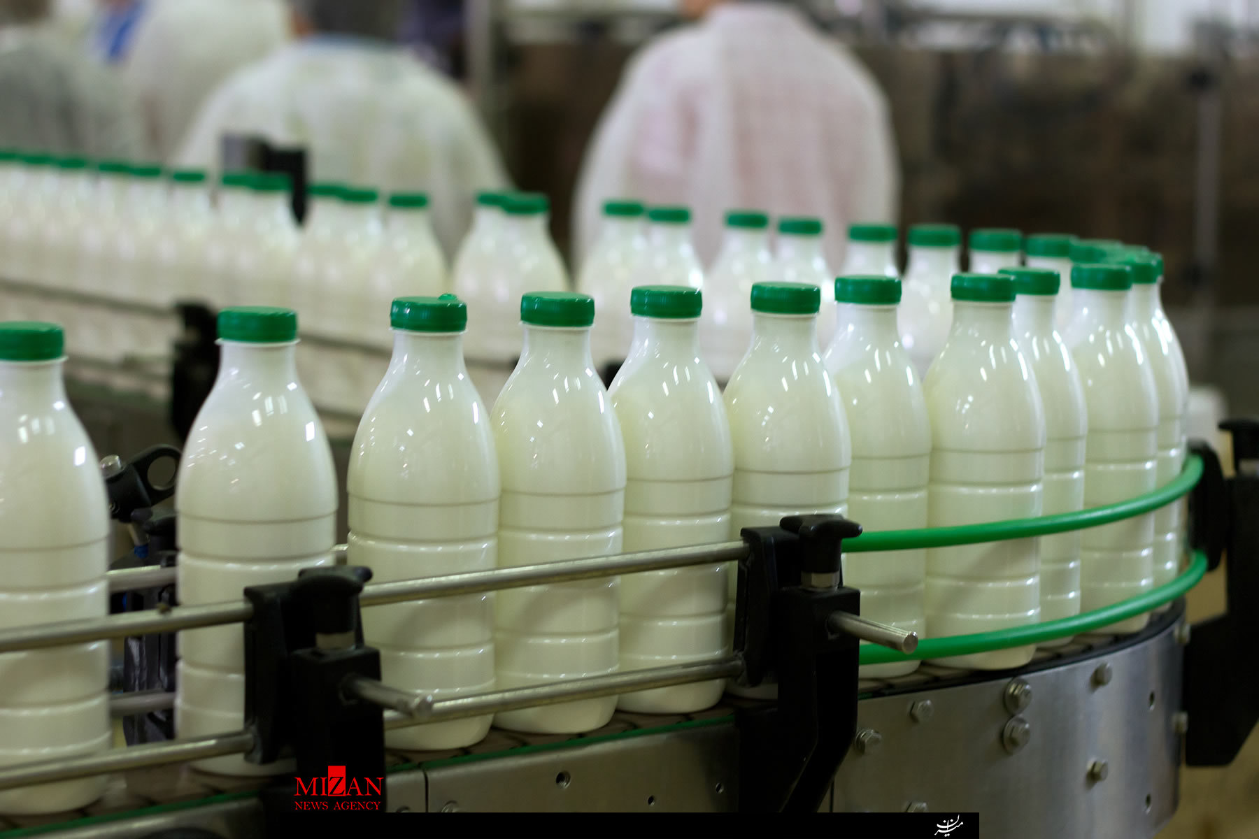 روزانه 7 هزار نمونه شیر دامداری ها در البرز آنالیز می شود