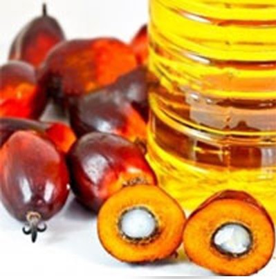 سقف واردات روغن پالم برداشته شد