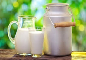 آفلاتوکسین شیرهای سنتی کنترل نمی‌شود