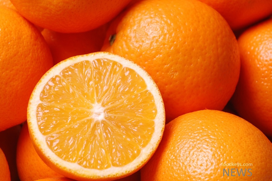 حضور دلالان دلیل گرانی نرخ پرتقال/تولیدکنندگان از تنظیم بازار وزارت جهاد کشاورزی رضایت دارند