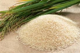 نرخ هر کیلو برنج هندی ۲۰ هزار تومان/واردات برنج ۴۸ درصد کاهش یافت
