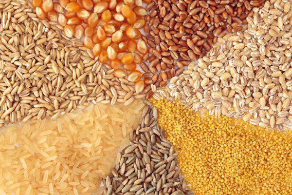 قیمت سویای دامی ۱۵۰ درصد گران شد/هشدار درباره کاهش تولید تخم مرغ
