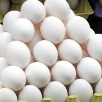 واردات بیش از 116 تن تخم مرغ به کشور