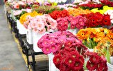 کاهش ۵۰ درصدی قیمت گل در بازار/ گل‌ ناقل ویروس کرونا نیست