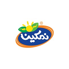 لوگوی کشت و صنعت تیوندشت