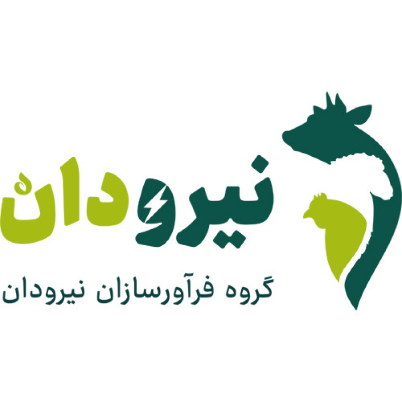 لوگوی گروه فرآورسازان نیرودان